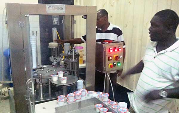 Yogurt Pot Filling Sealing Machine